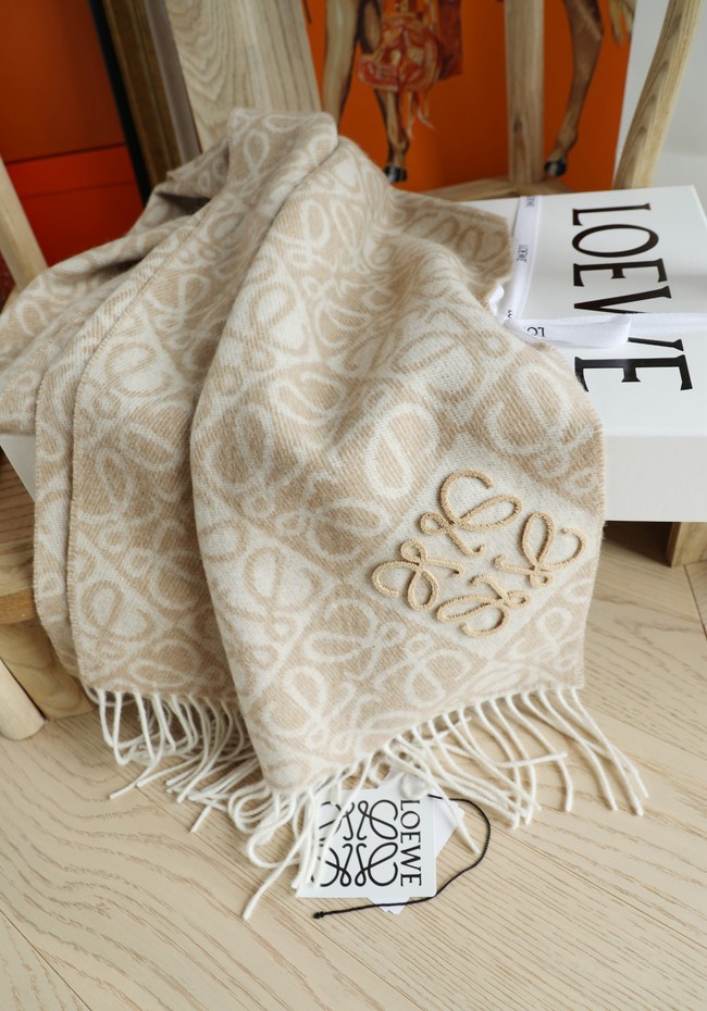 Loewe Cashmere Scarf 06383