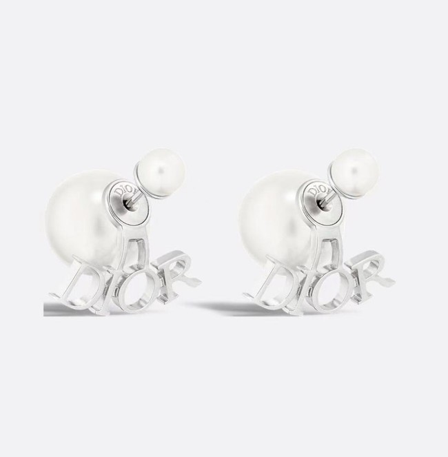 Dior Earring CE81828